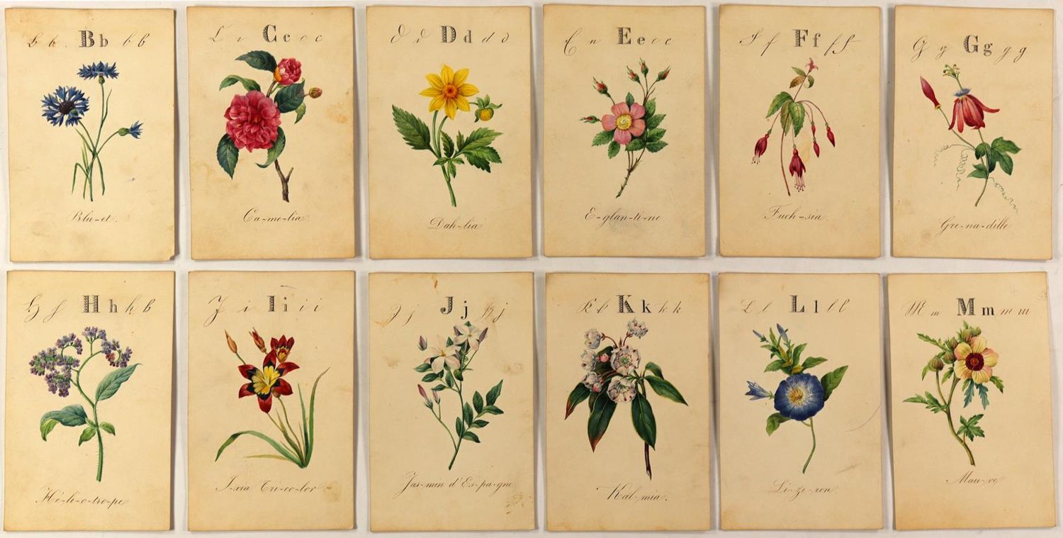 Große Abbildung Nr.3: 125-3010 Alphabet.: (Varia, Botanik, Typographie und Kalligraphie)