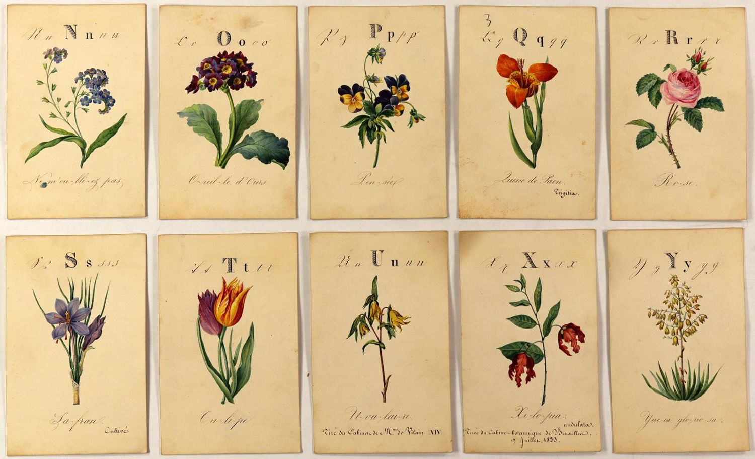 Große Abbildung Nr.4: 125-3010 Alphabet.: (Varia, Botanik, Typographie und Kalligraphie)