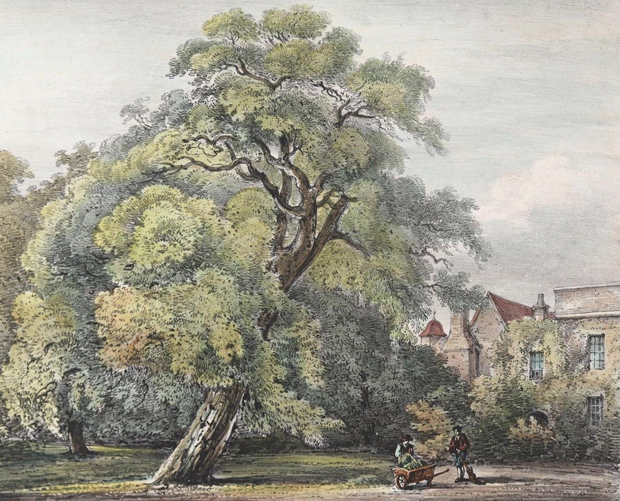 Große Abbildung Nr.1: 125-3070 Konvolut: (Varia)