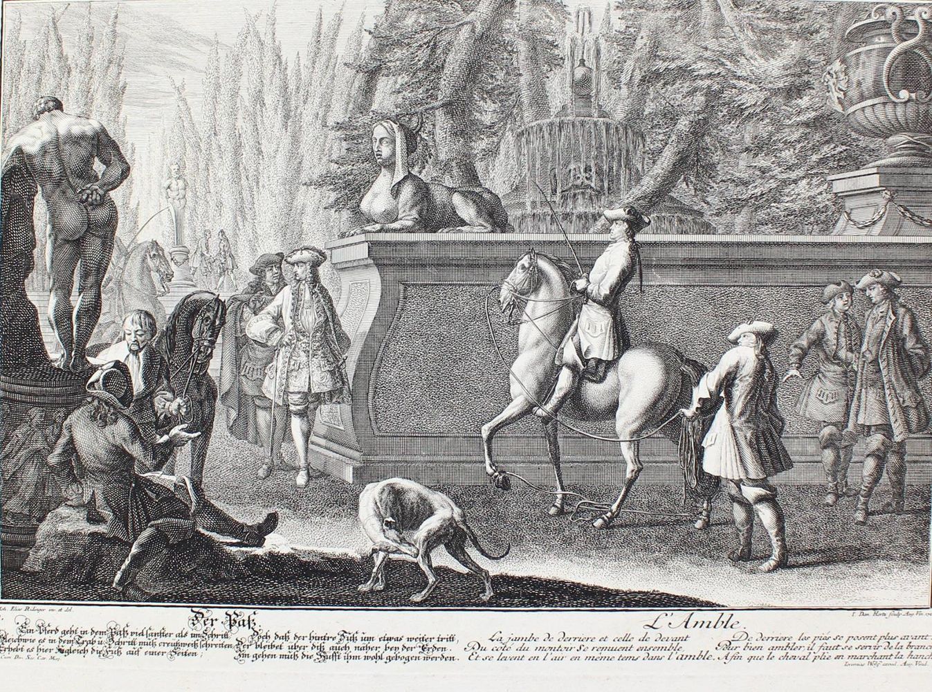 Große Abbildung Nr.1: 125-3104 Reitschule.: (Varia, Pferde)