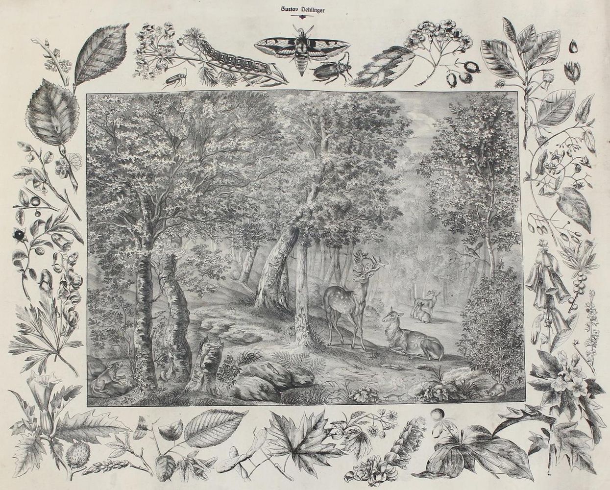 Große Abbildung Nr.1: 125-3142 Anschauungsbilder.: (Varia, Zoologie)