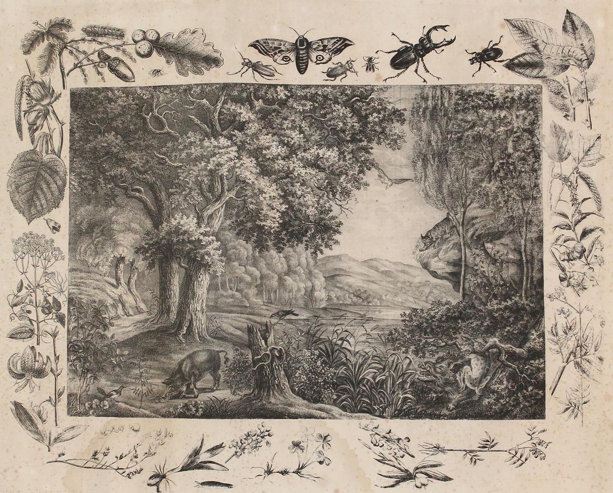 Große Abbildung Nr.4: 125-3142 Anschauungsbilder.: (Varia, Zoologie)
