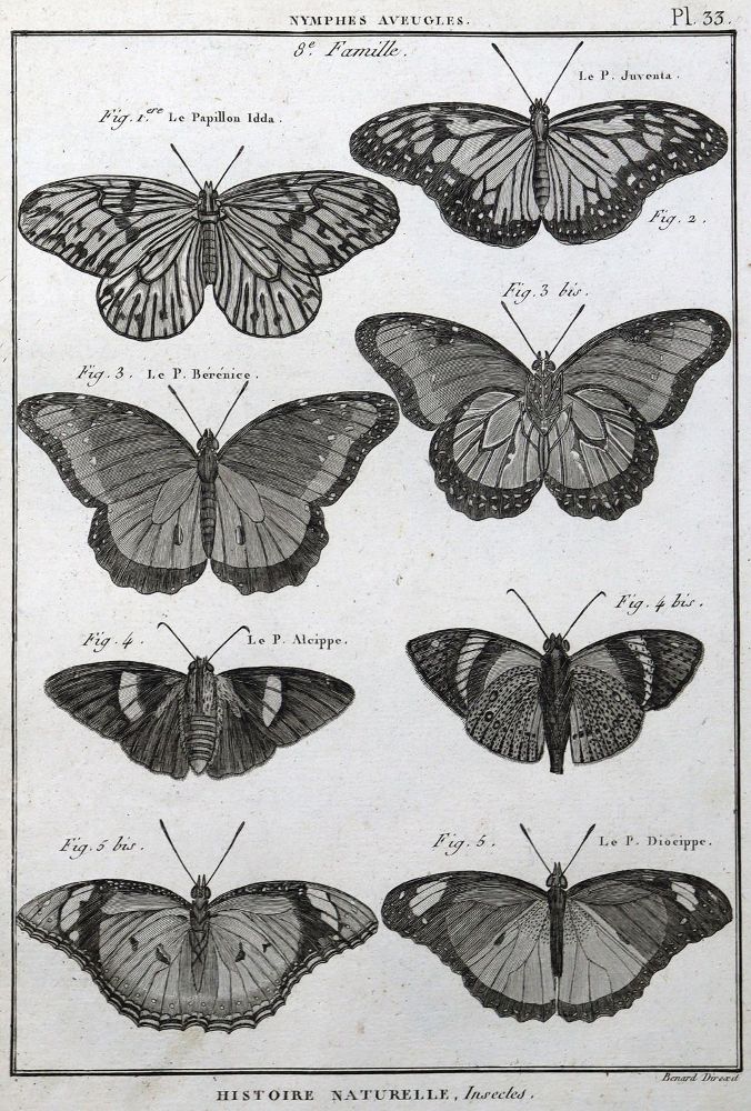Große Abbildung Nr.4: 125-3147 Sammlung: (Varia, Zoologie)