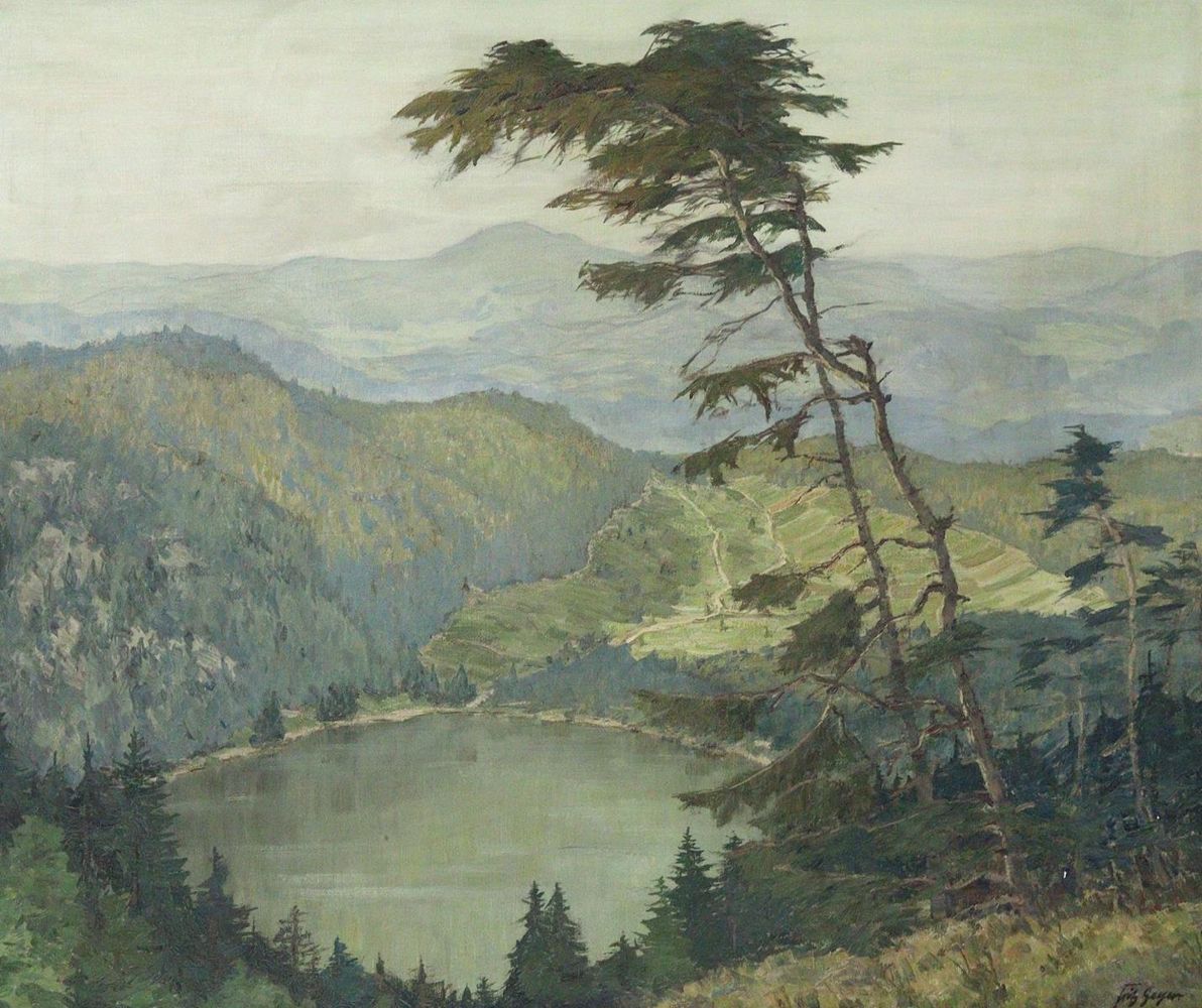 Große Abbildung Nr.1: 125-3178 Geyer, Fritz: (Deutschland, Feldsee)