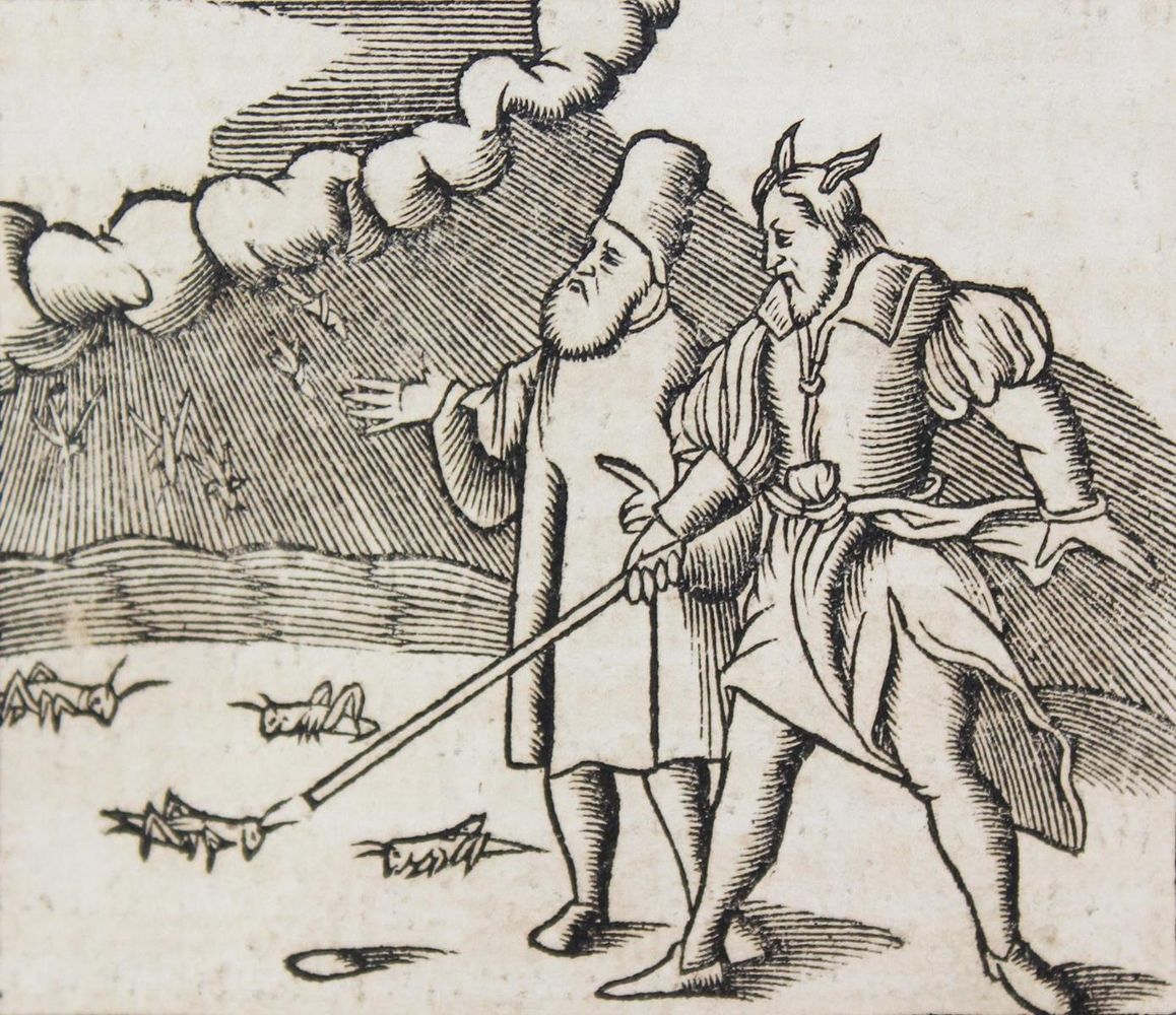 Große Abbildung Nr.3: 125-32 Biblia germania.: (Bibeln)
