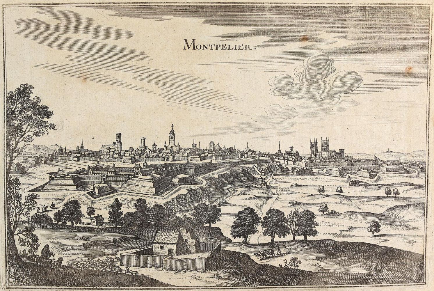 Große Abbildung Nr.2: 125-3334 Merian, M.: (Ausland, Frankreich)