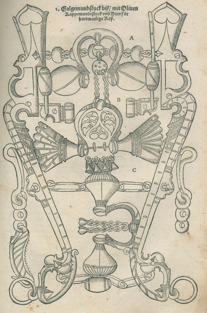 Große Abbildung Nr.2: 125-347 Grisone,F: (Pferde)