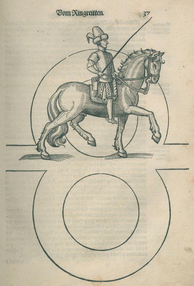 Große Abbildung Nr.5: 125-347 Grisone,F: (Pferde)
