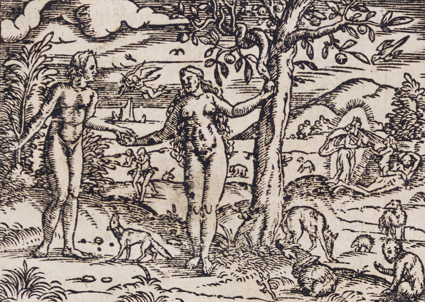Große Abbildung Nr.4: 125-35 Biblia germanica.: (Bibeln)