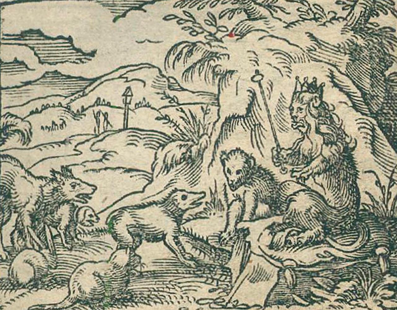 Große Abbildung Nr.2: 125-364 (Schopper,H.: (Reineke Fuchs)