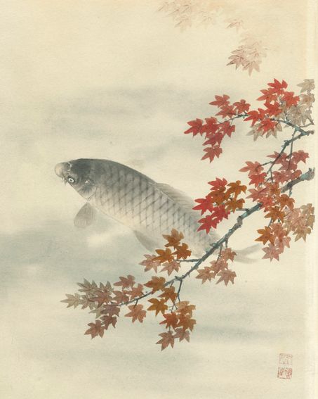 Große Abbildung Nr.1: 125-3727 Schmetterlinge und Insekten.: (Künstlergraphik, China)