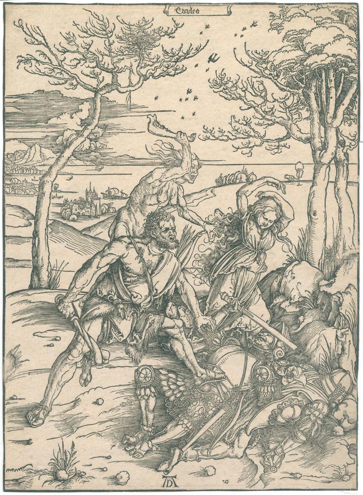 Große Abbildung Nr.1: 125-3773 Dürer, Albrecht: (Künstlergraphik)