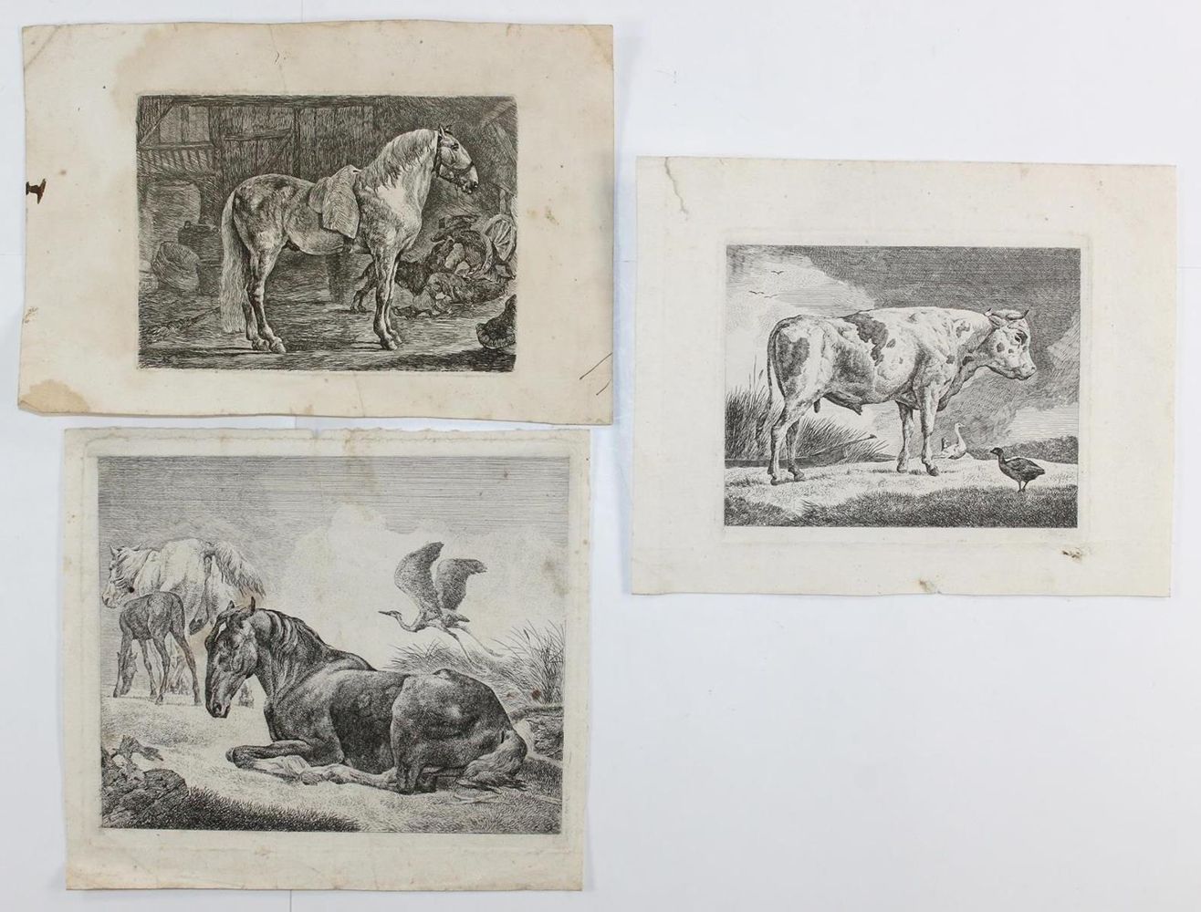 Große Abbildung Nr.2: 125-3964 Kolbe, Carl Wilhelm: (Künstlergraphik)