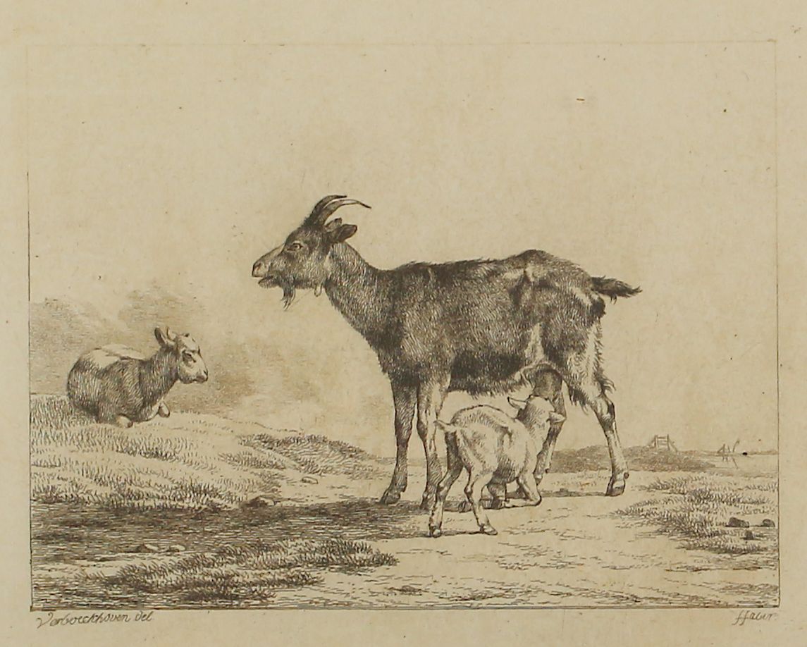Große Abbildung Nr.2: 125-3980 Konvolut: (Künstlergraphik)