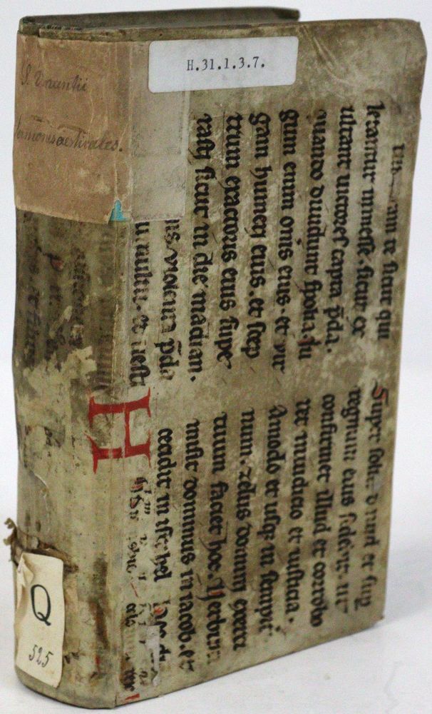 Große Abbildung Nr.3: 125-436 Vinzenz, Hl.: (Alte Drucke, Handschriften und Theologie)