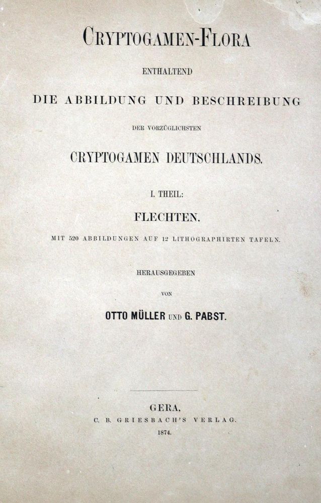 Große Abbildung Nr.2: 125-532 Konvolut: (Varia)
