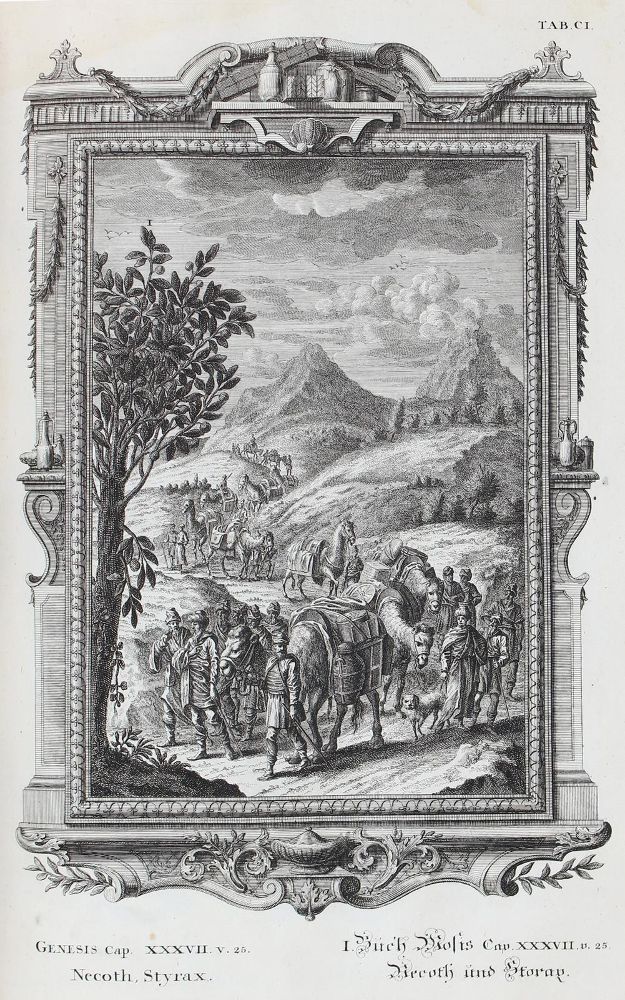 Große Abbildung Nr.1: 125-78 Scheuchzer,J.J.: (Bibeln)