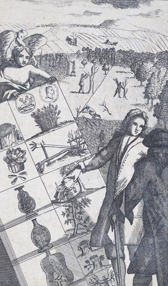 Große Abbildung Nr.1: 125-786 Vallemont,(P.L.)de.: (Land- und Forstwirtschaft, Garten, Obstbau)