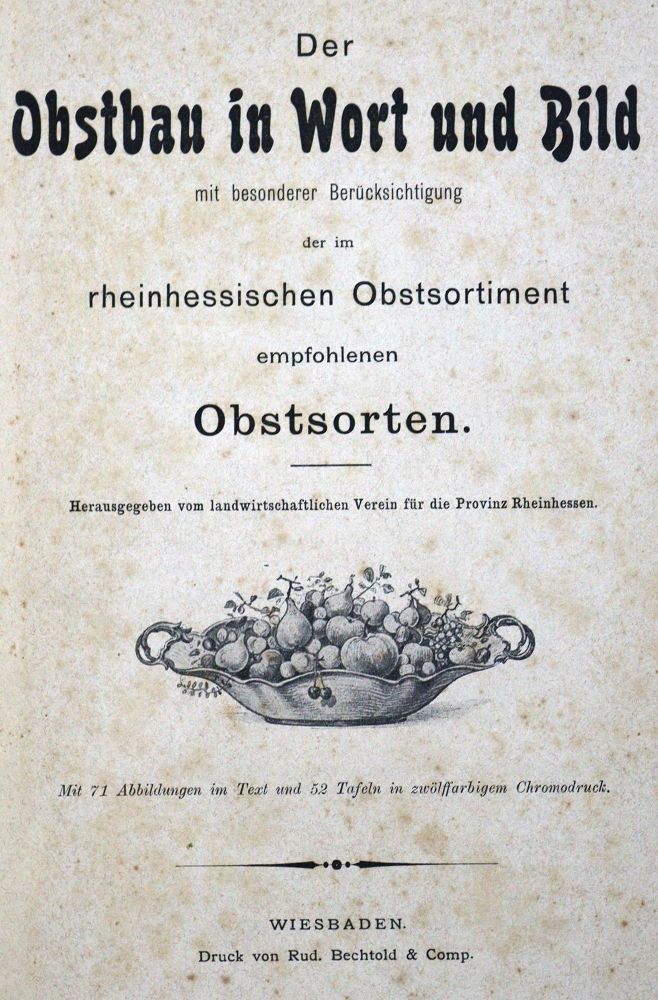 Große Abbildung Nr.2: 125-796 Obstbau in Wort und Bild, Der,: (Land- und Forstwirtschaft, Obstbau)