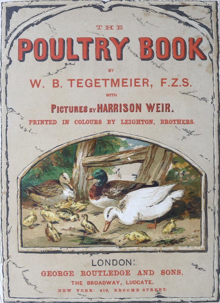 Große Abbildung Nr.2: 125-799 Tegetmeier,W.B.: (Land- und Forstwirtschaft, Tierhaltung, Geflügel)