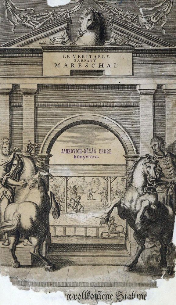 Große Abbildung Nr.1: 125-801 Solleysel,(J.)de.: (Land- und Forstwirtschaft, Tierhaltung, Pferde)