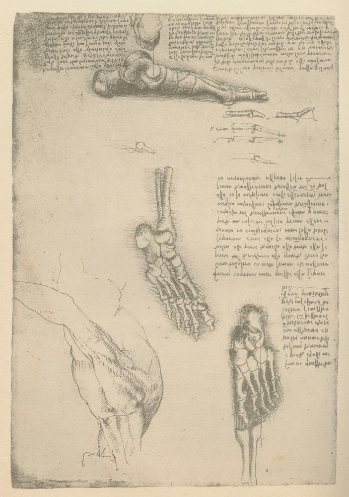 Große Abbildung Nr.2: 125-831 Piumati,G.: (Leonardo da Vinci)