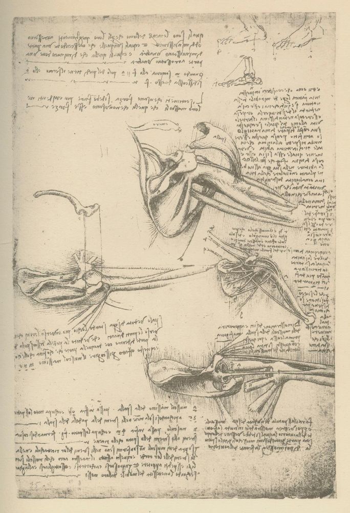 Große Abbildung Nr.3: 125-831 Piumati,G.: (Leonardo da Vinci)