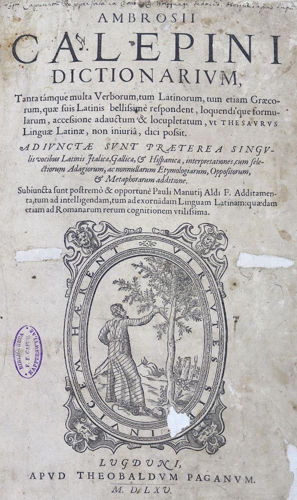 Große Abbildung Nr.1: 125-903 Calepinus,A.: (Lexika - Wörterbücher - Sprachwissenschaften)