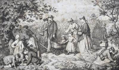 Bild Nr.1: 125-1059 Bürkner,H.: (Literatur und illustrierte Bücher bis 19.Jahrhundert)