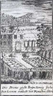 Bild Nr.1: 125-1175 (Richter,C.G.).: (Literatur und illustrierte Bücher bis 19.Jahrhundert)