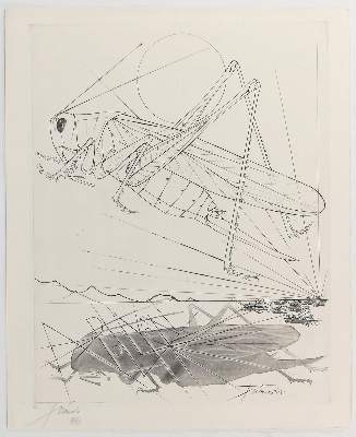 Bild Nr.21: 125-1265 Apocalypse de Saint Jean. (Dali)