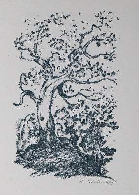 Bild Nr.1: 125-1447 Lenau,N.: (Steiner-Prag)