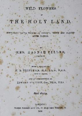 Bild Nr.1: 125-1506 Zeller,H.: (Botanik)