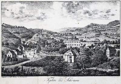 Bild Nr.1: 125-1512 Reuss,A.: (Medizin, Balneologie)