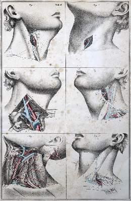 Bild Nr.1: 125-1524 Blasius,E.: (Medizin)