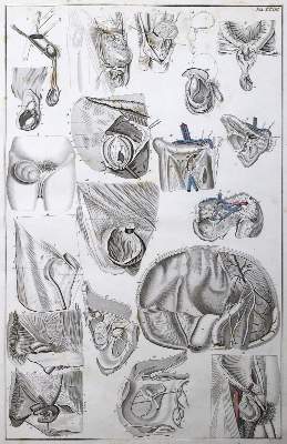 Bild Nr.2: 125-1524 Blasius,E.: (Medizin)