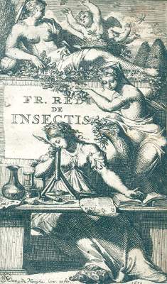 Bild Nr.1: 125-1551 Redi,F.: (Medizin, Gifte, Schlangen)