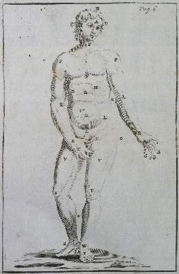 Bild Nr.2: 125-1625 Verheyen,P.: (Medizin)