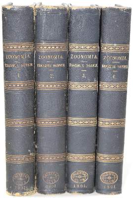 Bild Nr.3: 125-1639 Darwin,E.: (Zoologie)