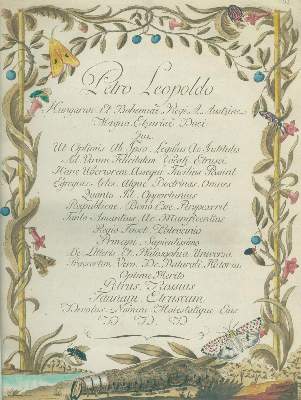 Bild Nr.1: 125-1646 Rossi,P.: (Zoologie, Insekten)