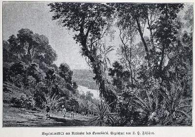 Bild Nr.3: 125-1745 Junker,W.: (Afrika)