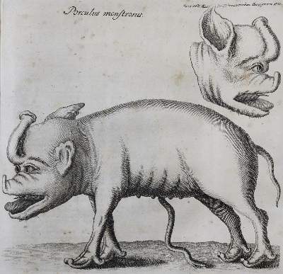 Bild Nr.4: 125-1845 Hannoverische gelehrte Anzeigen.: (Deutschland, Hannover)