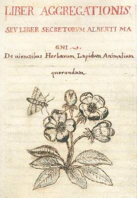 Bild Nr.2: 125-203 Albertus Magnus.: (Handschriften)