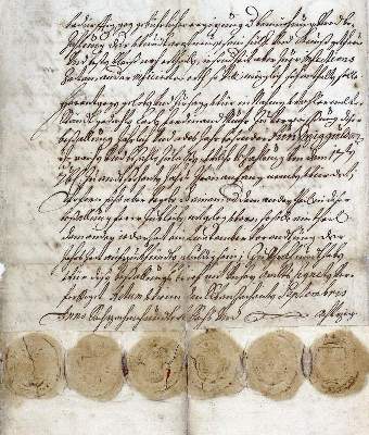 Bild Nr.2: 125-216 Bestallungsbrief: (Handschriften, Krems)