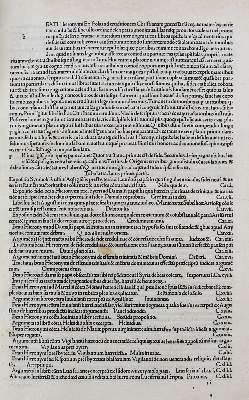 Bild Nr.3: 125-248 Hieronymus,S.: (Inkunabeln)