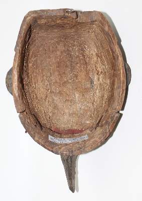 Bild Nr.4: 125-2485 Ogoni Nigeria.: (Afrika, Sammlung Wolfgang Nerlich, Masken)
