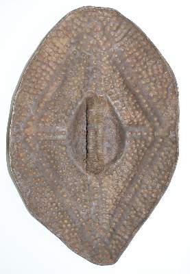 Bild Nr.2: 125-2517 Eisenschild der Fali: (Afrika, Sammlung Wolfgang Nerlich, Schilde)