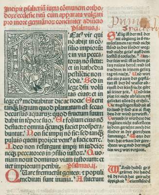 Bild Nr.1: 125-252 (Psalterium cum apparatu: (Inkunabeln)