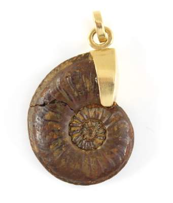 Bild Nr.1: 125-2706 Fossiler Anhänger: (Schmuck, Anhänger)