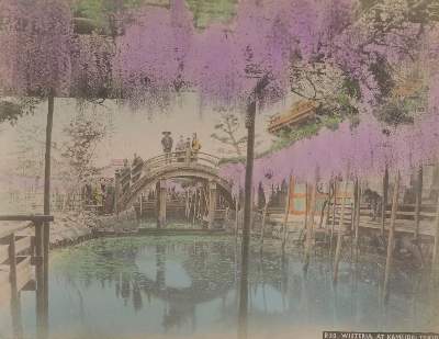 Bild Nr.3: 125-2940 Album: (Japan)